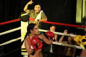 Original 2495 px/ 1663 px