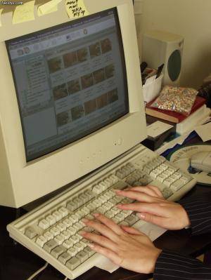 Original 730 px/ 973 px