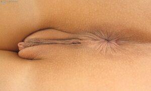 Original 2000 px/ 1200 px