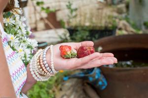 Original 3000 px/ 2000 px