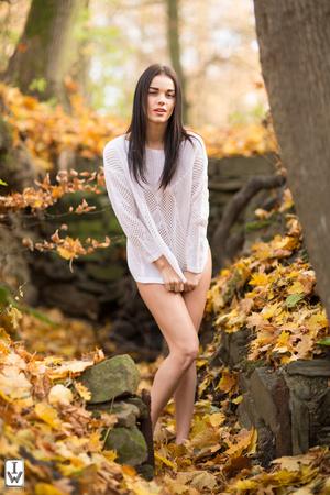 Original 2000 px/ 3000 px