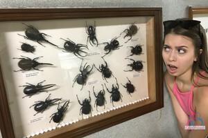 Original 3000 px/ 2000 px