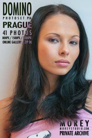 #MoreyStudio Domino - Set P1A