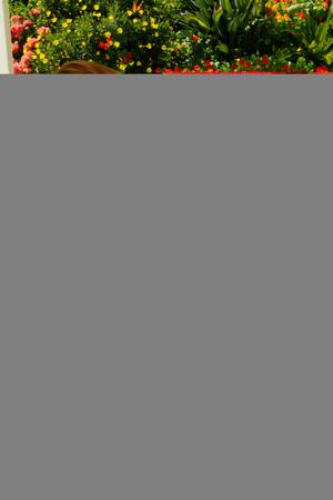 Original 1333 px/ 2000 px