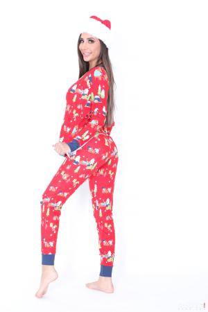 Original 1733 px/ 2600 px