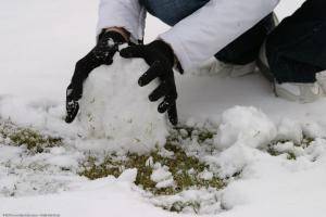 Original 1280 px/ 854 px