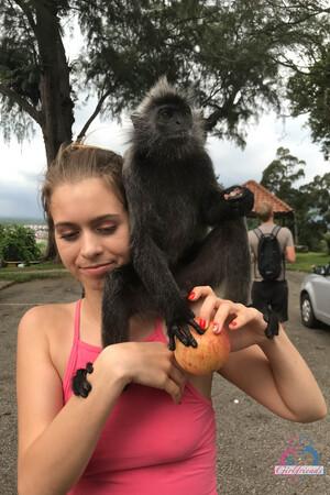 Original 2000 px/ 3000 px