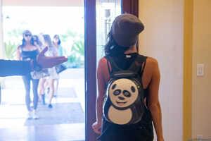 Original 2495 px/ 1663 px