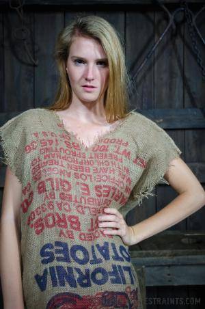 Original 795 px/ 1200 px