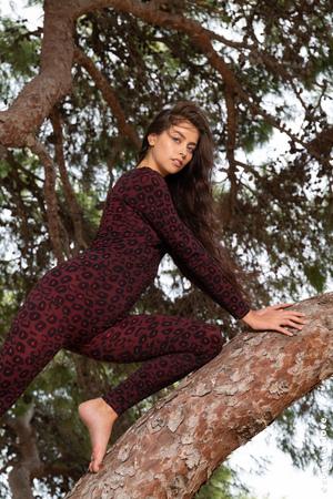 Original 5584 px/ 8368 px