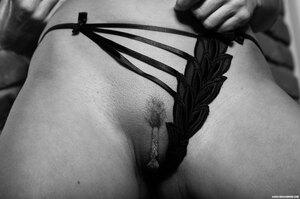 Original 2500 px/ 1662 px