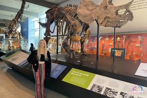 Original 3000 px/ 2000 px