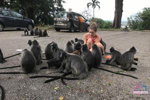 Original 3000 px/ 2000 px