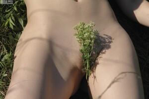 Original 2048 px/ 1365 px