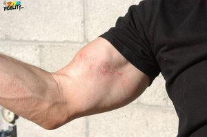 Original 1728 px/ 1149 px