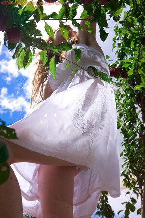 Original 981 px/ 1472 px