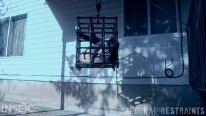 Original 1200 px/ 675 px