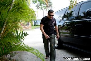 Original 800 px/ 533 px