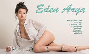 Original 3000 px/ 1823 px