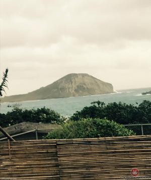 Original 2250 px/ 2667 px