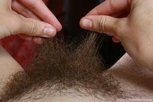 Original 3000 px/ 2000 px