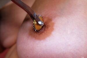 Original 6000 px/ 4000 px