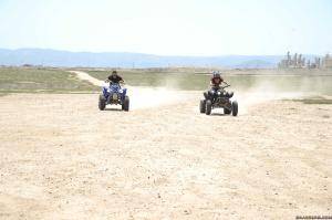 Original 2499 px/ 1663 px