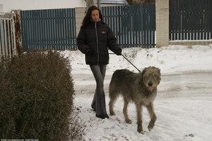 Original 1536 px/ 1024 px