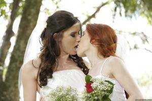 Original 2495 px/ 1663 px