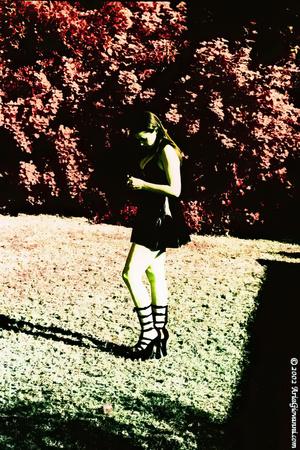 Original 1024 px/ 1536 px