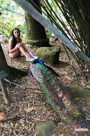 Original 2000 px/ 3000 px