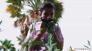 Original 1920 px/ 1080 px