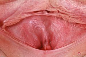 Original 3000 px/ 2000 px