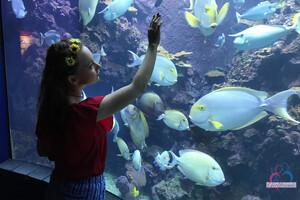 Original 3000 px/ 2000 px