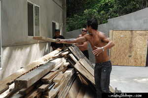 Original 2500 px/ 1660 px