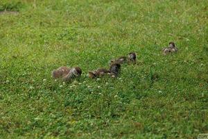 Original 1920 px/ 1280 px