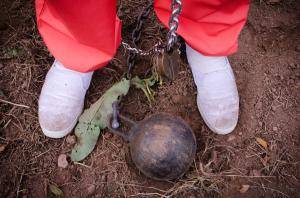 Original 1200 px/ 795 px