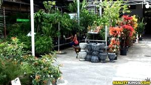 Original 3840 px/ 2160 px