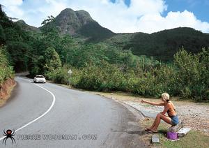 Original 842 px/ 595 px