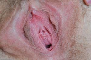 Original 1600 px/ 1063 px