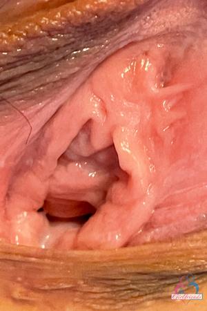 Original 2000 px/ 3000 px