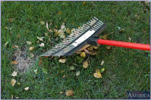 Original 1000 px/ 669 px