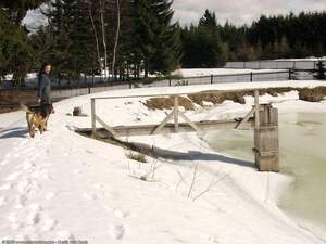 Original 1600 px/ 1200 px