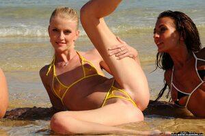 Original 3000 px/ 1992 px