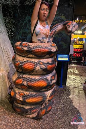 Original 2000 px/ 3000 px