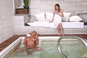 Original 2491 px/ 1663 px