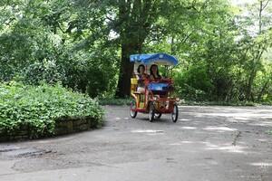 Original 1280 px/ 853 px