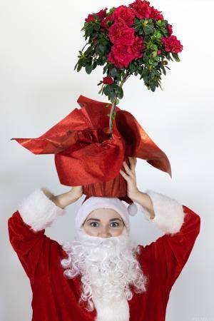 Original 5000 px/ 7500 px