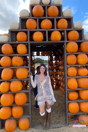 Original 2000 px/ 3000 px