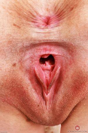 Original 2000 px/ 3000 px